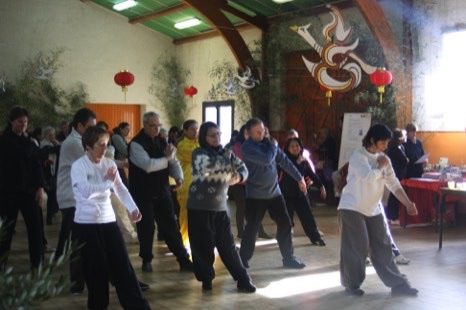 Cours de gymnastique et Qi Gong en plein air