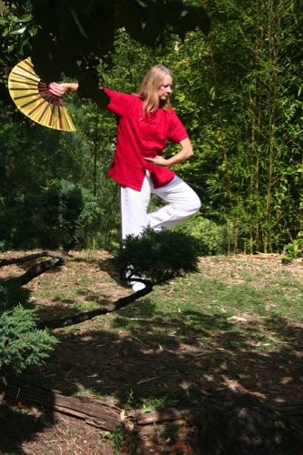 Mouvement de Tai Chi Chuan avec éventail