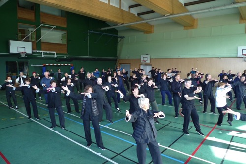 Galerie Tai Chi & armes — image 8