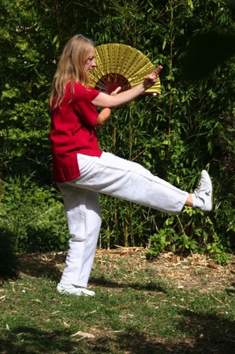 Galerie Tai Chi & armes — image 9