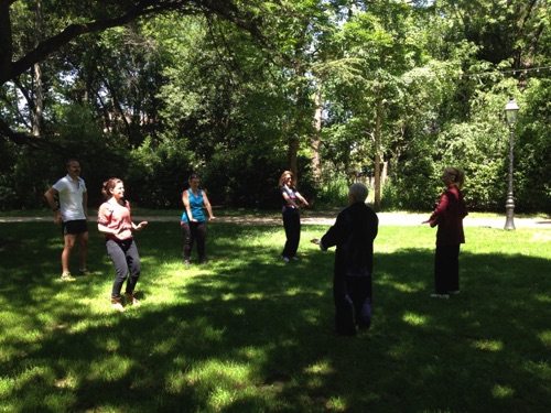 Galerie Tai Chi & armes — image 15