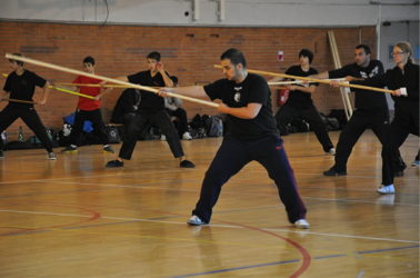 Galerie Tai Chi & armes — image 18